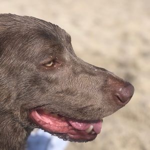 Meet your Posher, Gail